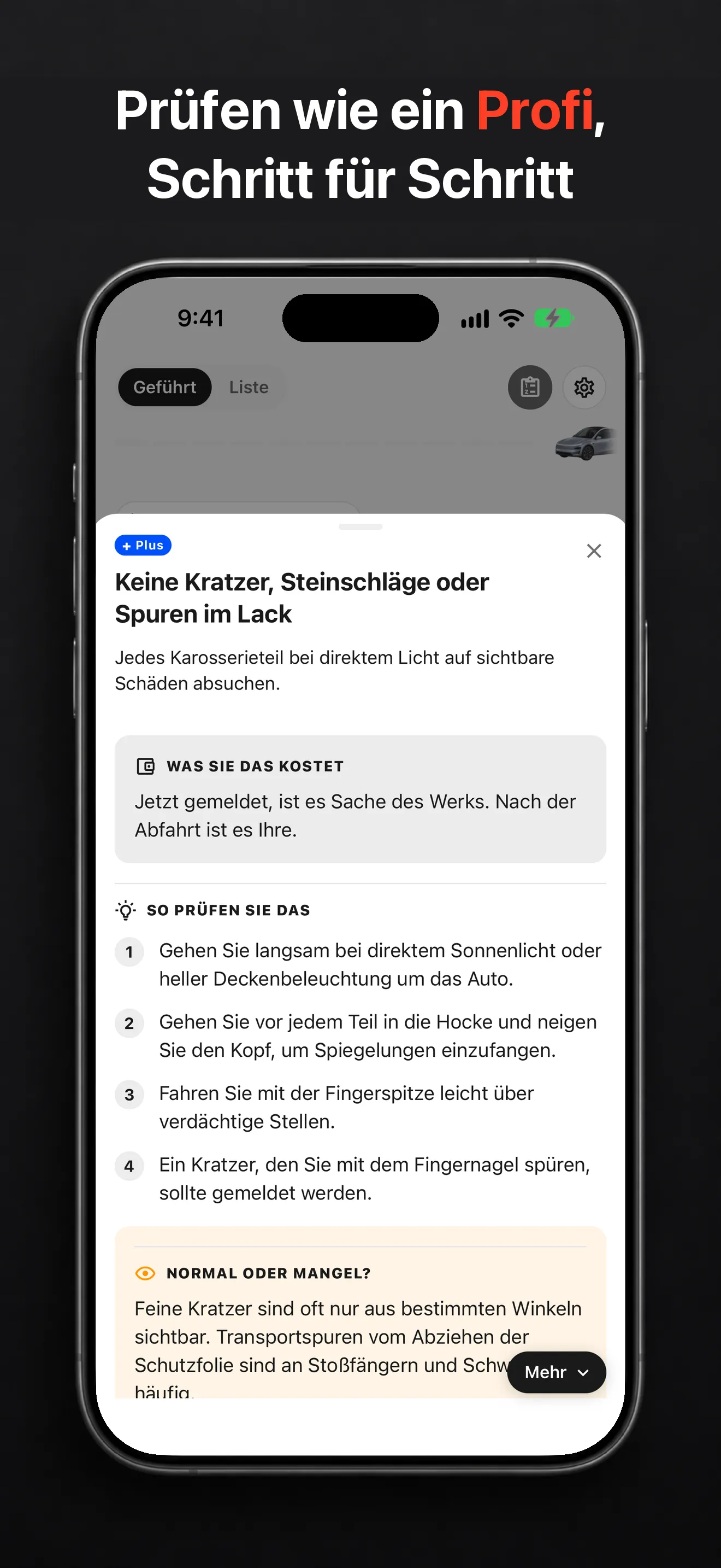 TSL-Check-Prüftipp auf dem iPhone, mit Schritten und einem Bild eines Lackmangels