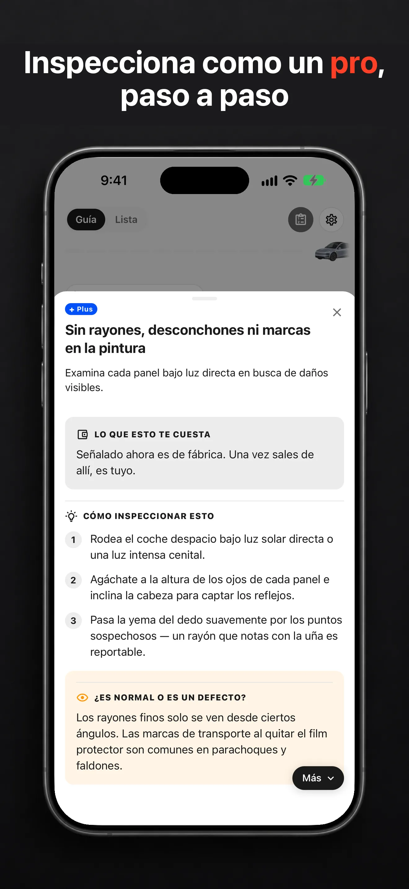 Consejo de inspección de TSL Check en iPhone, con pasos y una imagen de un defecto de pintura
